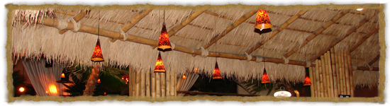 Tiki Bars