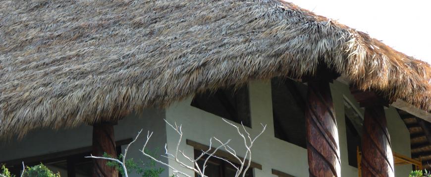 Thatched house on private island in Bahamas