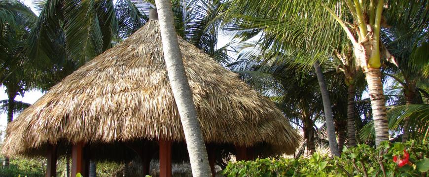 palm thatched pool bar