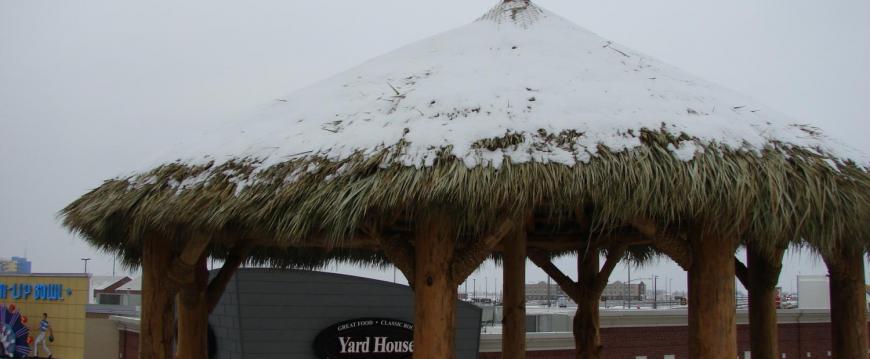 Snow on palm thatch