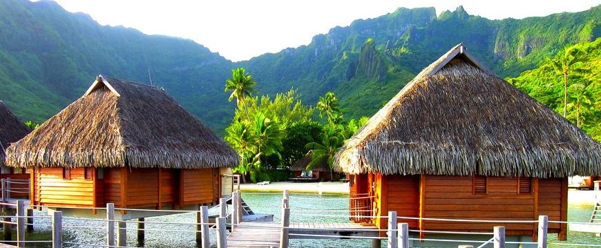 palm thatched overwater Overwater Bungalows 