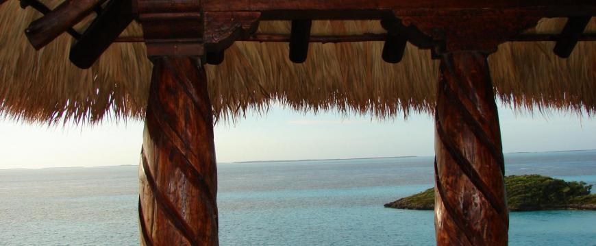 Dark Tiki Palm Thatch Hut on The Ocean