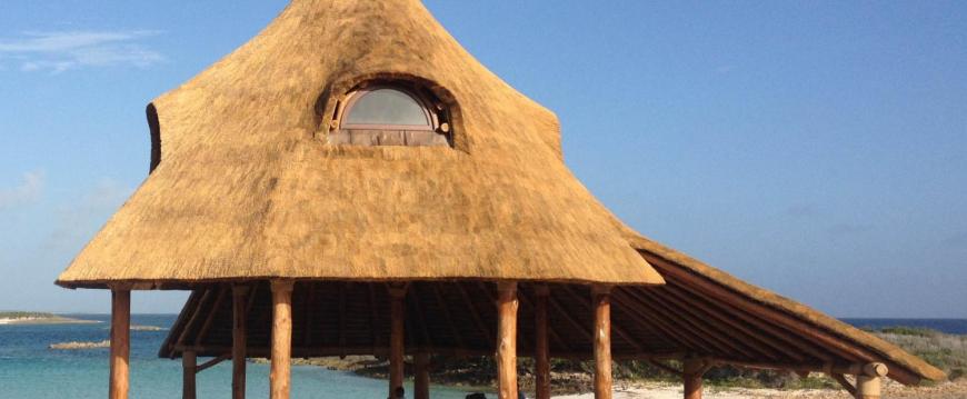 tiki bar palapa thatched tropical bar