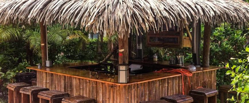 tiki bar palapa thatched tropical bar