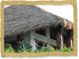 Thatched house on private island in Bahamas