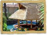 Pool Tiki / Palapa Bar | Synthetic Thatch | Private Residence, Florida