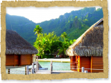 palm thatched overwater Overwater Bungalows 