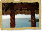 Dark Tiki Palm Thatch Hut on The Ocean