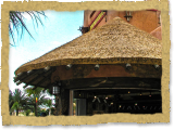 Themed Tiki / Palapa Bar - Synthetic Thatch - Theme Park, Orlando, Florida