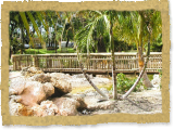 african zoo bridge and fencing