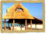 Largest Thatched Tiki Bar In The Caribbean