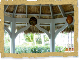 tiki bar palapa thatched tropical bar