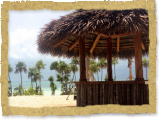 tiki bar palapa thatched tropical bar