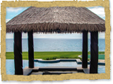 Pool Tiki / Palapa Bar - Synthetic Thatch - Private Residence, Florida