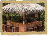 Tiki / Palapa Bar - Synthetic Thatch - Private Residence