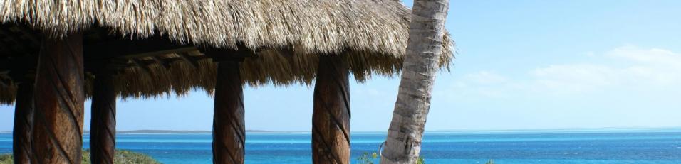 Palm Thatched Roof the Bahamas Islands