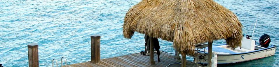 Palapa shade structure on dock