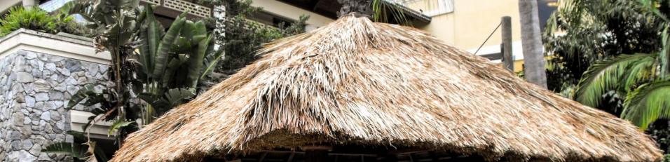 Palapa shade structure