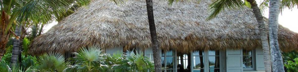 Tiki Hut Palapa Bali Thatched Roof