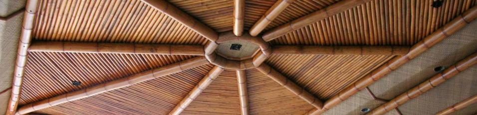 bamboo themed ceiling